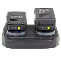 Caricabatterie e Batterie Per Elettroutensili Da Giardino Ribimex Bat 20|19,99 €