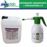 Detergente Igienizzante 10 LT Multisuperfici + Pompa a pressione 2 LT|Generica - Senza Marca