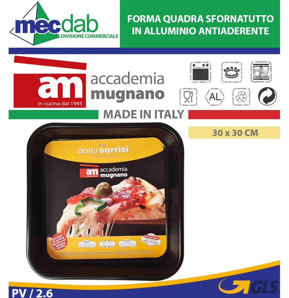 Forma Sfornatutto Quadra Antiaderente In Alluminio Teglia Pizze e Dolci|6,50 €