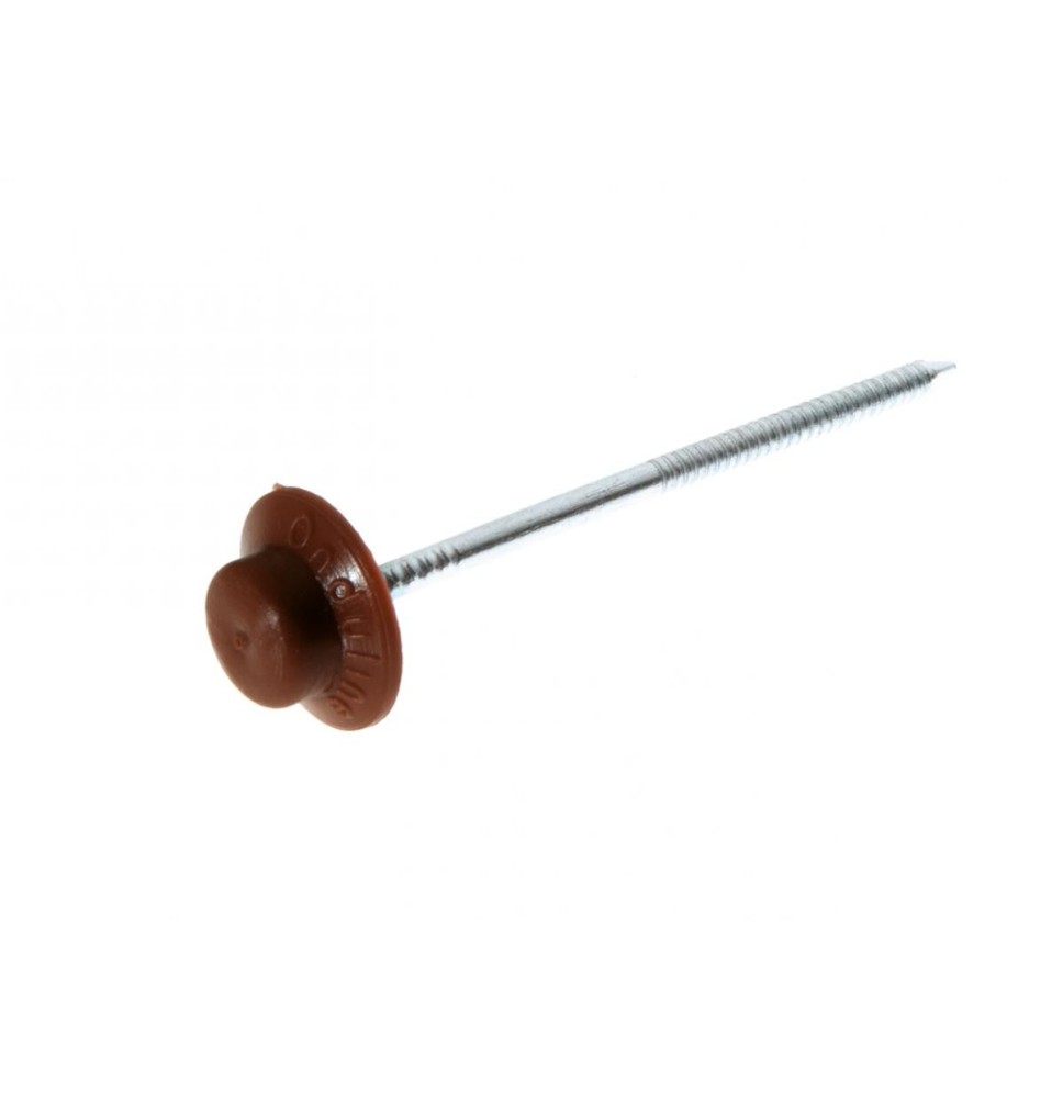 Chiodini Per Lastre Ondulate Blister Da 50 Rosso Nero Verde Terracotta per Tetti|8,20 €