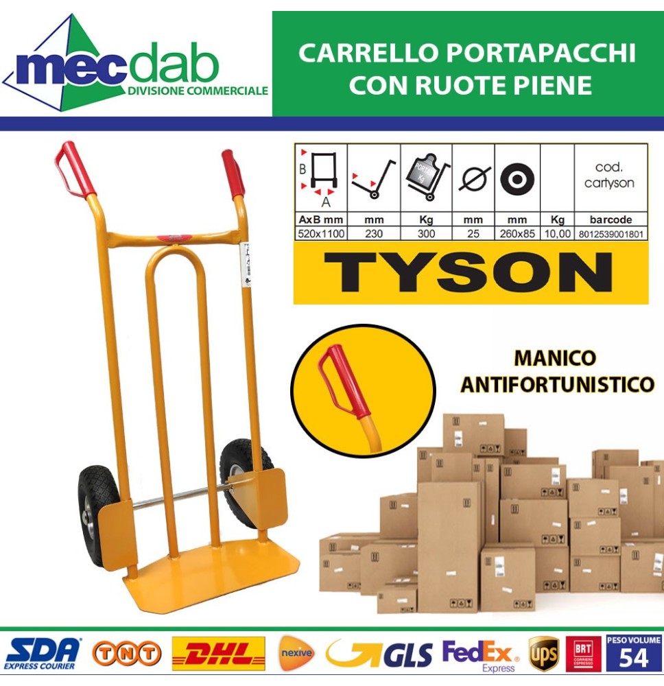 Carrello Portapacchi con Ruote Piene Portata Max 300 Kg 52x110cm Tyson