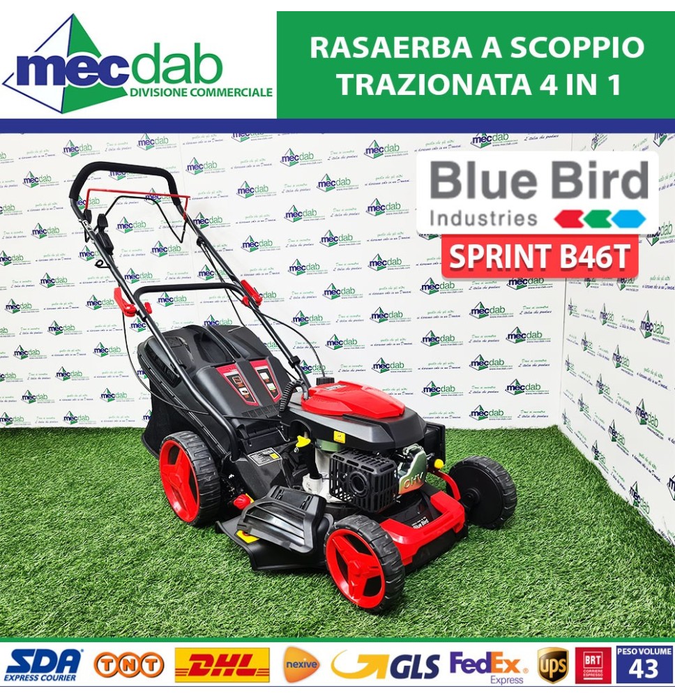 Tosaerba Rasaerba a Scoppio 4 Tempi 4 In 1 Motore 146cc HP 3.5 Lama 46 Cm Bluebird Sprint B46T|267,00 €