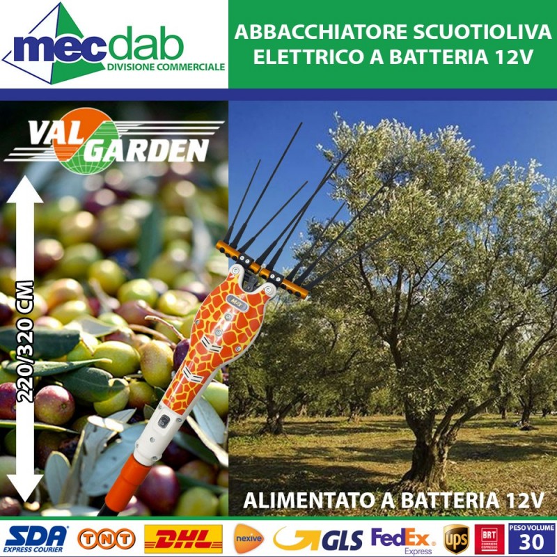 Abbacchiatore Scuotiolive a batteria 12V con Asta Telescopica Sgancio Rapido M2X Valgarden | Mec.Dab SRL | Valgarden